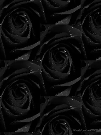 OnlyFans cuenta lilkiwiabs header 2