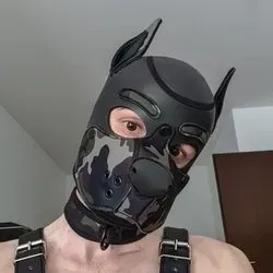 OnlyFans cuenta pup_vega avatar 1