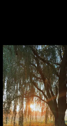 OnlyFans cuenta u85531692 header 1