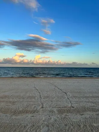 OnlyFans account  userdonotexist header 2
