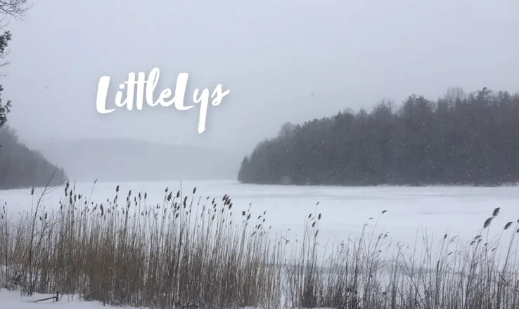 OnlyFans cuenta littlelys header 2