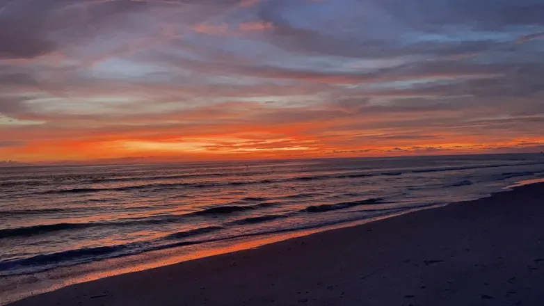 OnlyFans cuenta floridagirls header 2