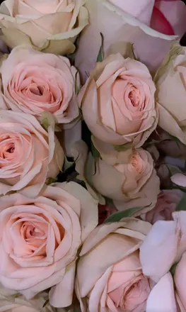 OnlyFans cuenta gueritaa_ashann header 2