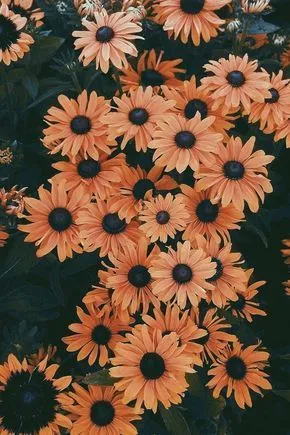 OnlyFans cuenta anakata header 2