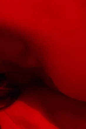 OnlyFans cuenta dearflowerr header 2