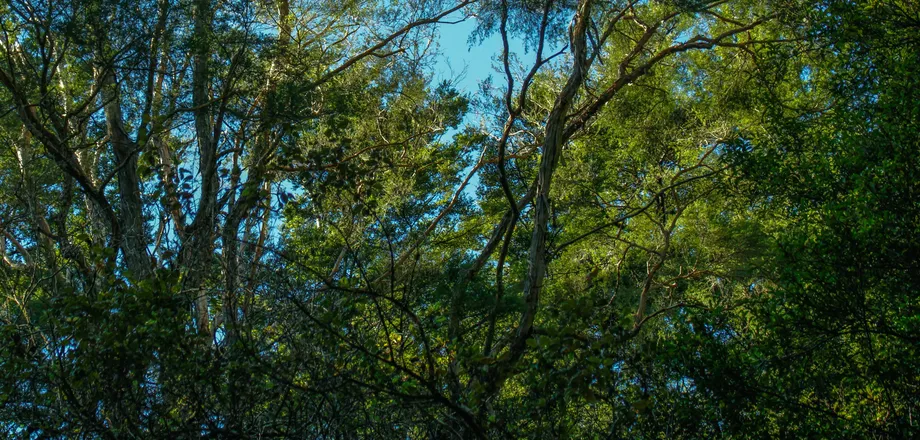 OnlyFans cuenta chancephotography header 2