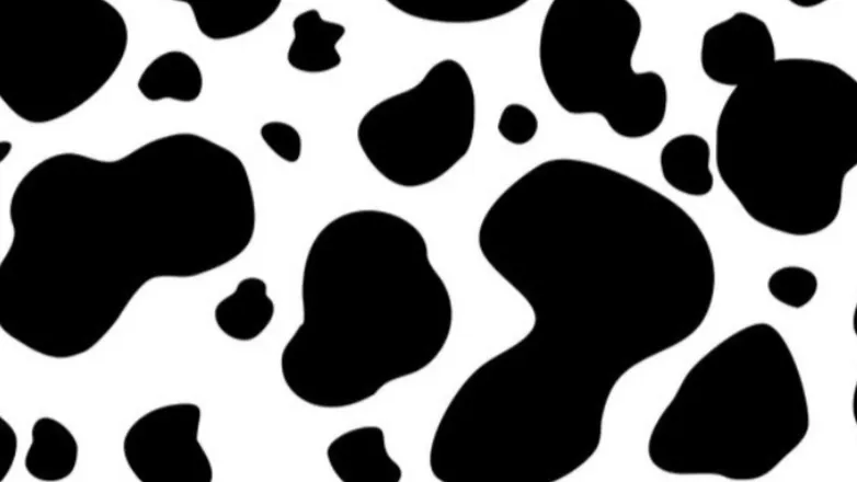 OnlyFans cuenta cattyrina header 2