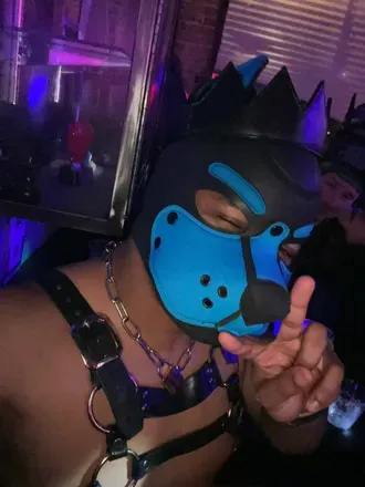 OnlyFans cuenta jasertheepup avatar 1