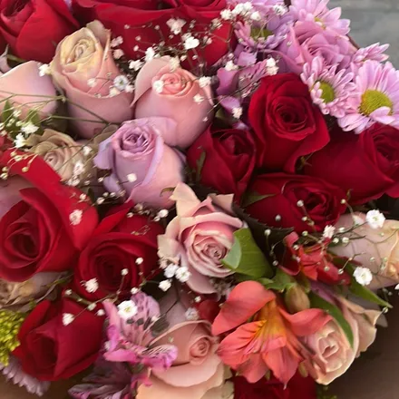 OnlyFans cuenta alessandre111 header 2