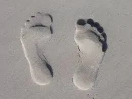 OnlyFans cuenta feetpics4565 header 2