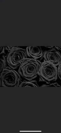 OnlyFans cuenta jordan0420 header 2