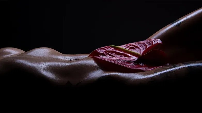 OnlyFans cuenta the_allicattie header 2
