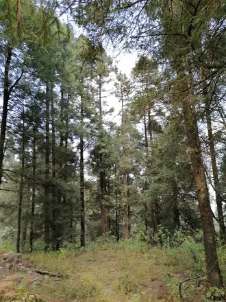 OnlyFans cuenta miniev header 2