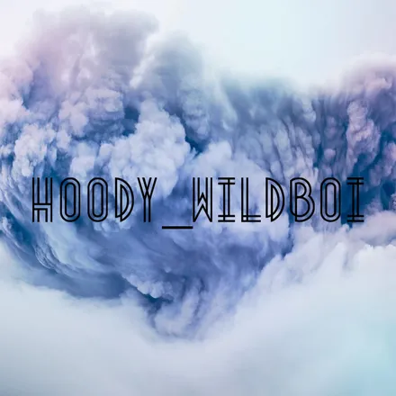 OnlyFans cuenta hoody_wildboi header 2
