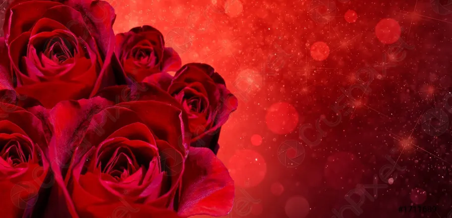 OnlyFans cuenta laylaleerose header 2