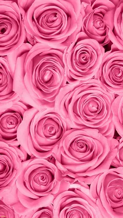 OnlyFans cuenta majinbunny header 2