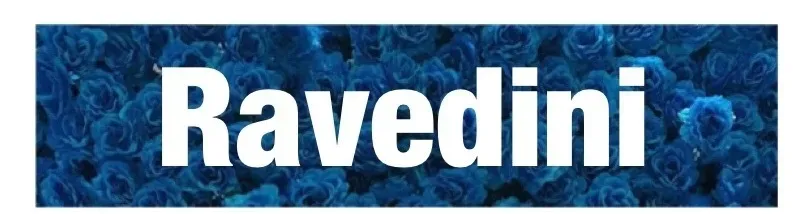 OnlyFans account  ravedini header 1