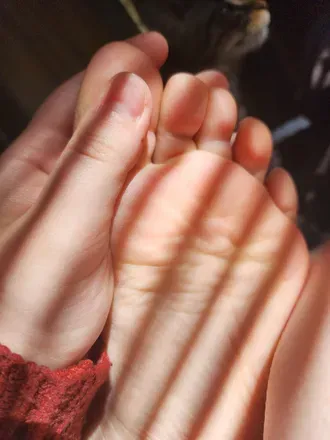 OnlyFans cuenta autumndaisy2 header 2