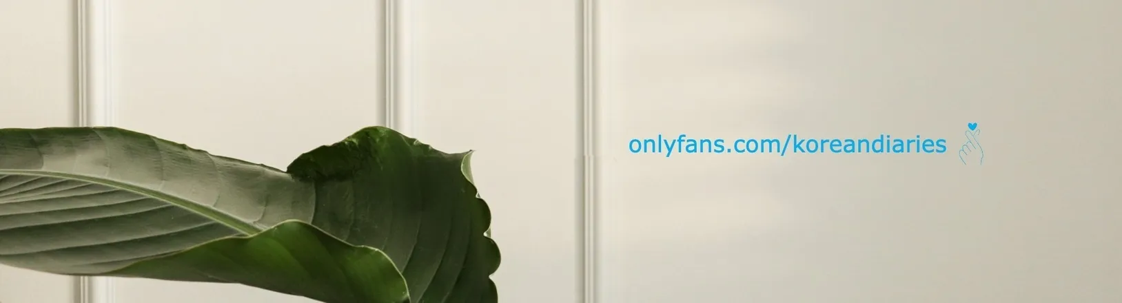 OnlyFans cuenta koreandiaries header 2