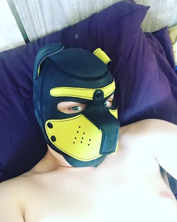 OnlyFans cuenta charlesthebeagle header 2