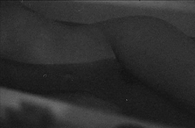 OnlyFans cuenta thebaerista header 2
