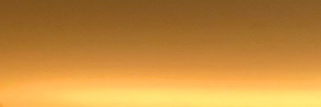 OnlyFans cuenta ryverwild header 2