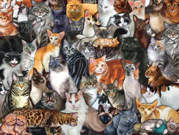 OnlyFans cuenta kittyfinder header 2
