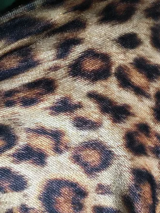 OnlyFans cuenta hoeboshorty header 2