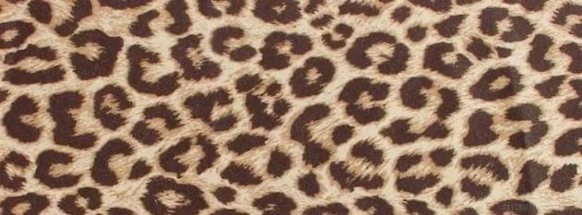 OnlyFans cuenta justjamiejones header 2
