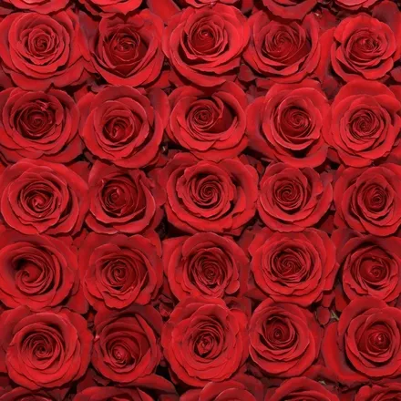 OnlyFans cuenta u109829391 header 1