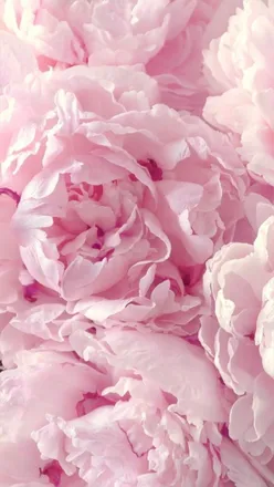 OnlyFans cuenta jenyisonline header 2