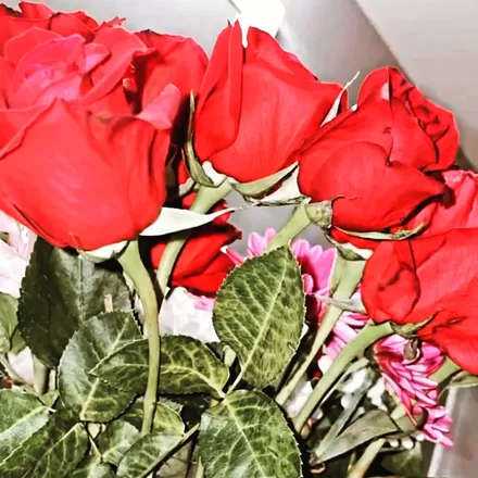OnlyFans cuenta shayesbaebae header 2