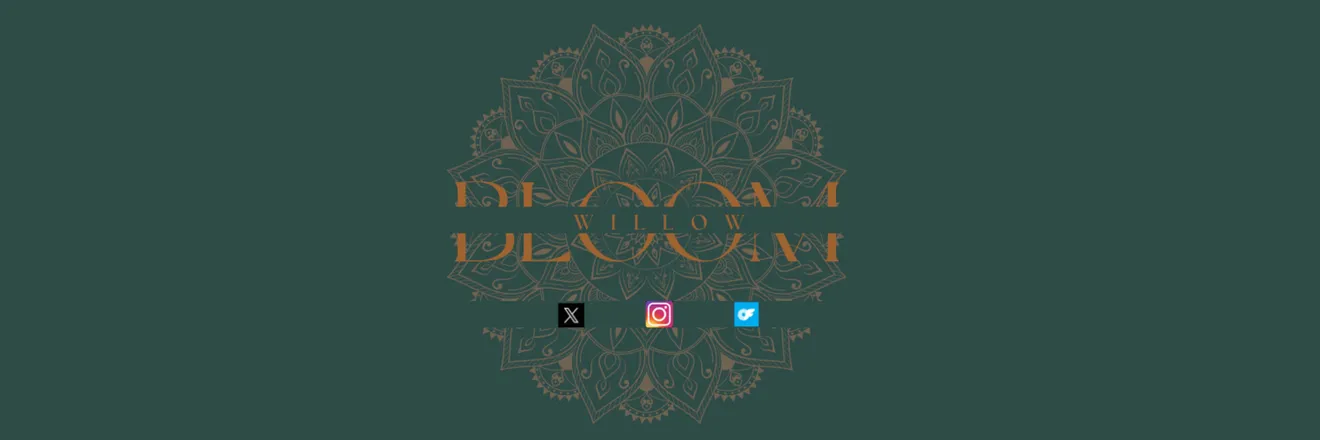 OnlyFans account  willowbloomx header 2