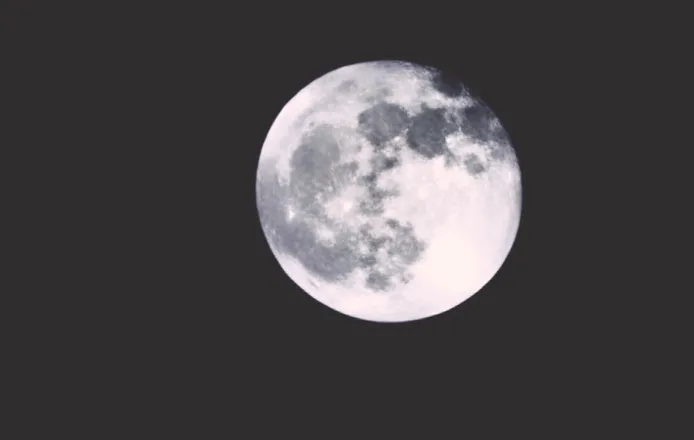 OnlyFans cuenta shyfables header 2