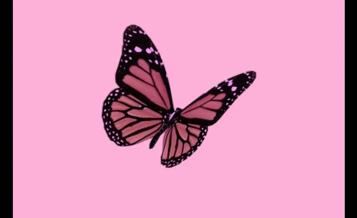 OnlyFans cuenta grac3xxx header 2