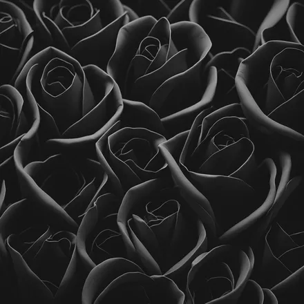 OnlyFans cuenta taradelafee header 2