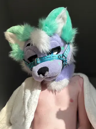 OnlyFans cuenta yiffoxad avatar 1
