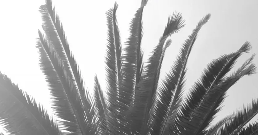 OnlyFans cuenta geminiiboyy header 2