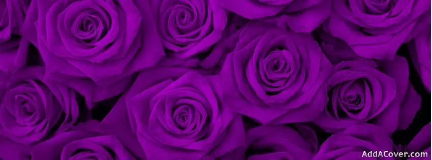 OnlyFans cuenta sexyserenaa header 2