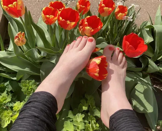 OnlyFans account  lillyslesbiantoes avatar 1