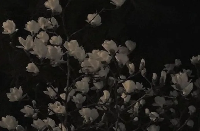 OnlyFans account  blitpvp header 2