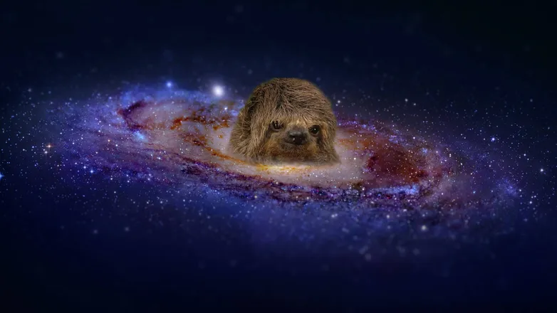 OnlyFans cuenta abhor_mistress header 2