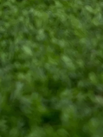 OnlyFans cuenta julieerain header 2