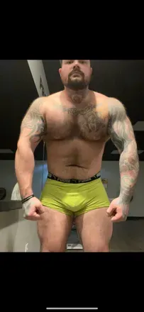 OnlyFans cuenta bearfills avatar 1