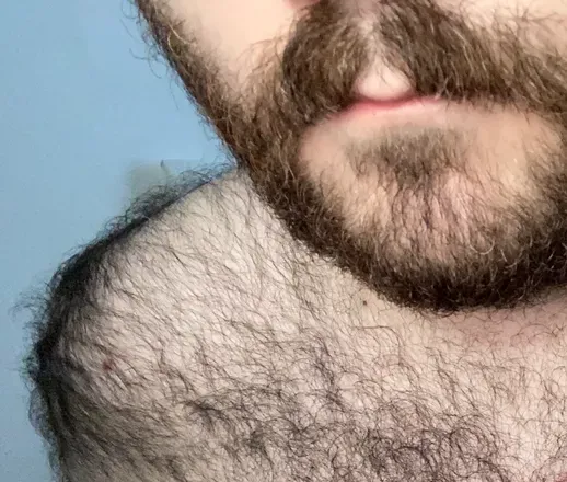 OnlyFans account  elabear avatar 1