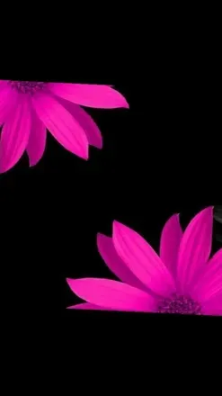OnlyFans cuenta kinklily header 1