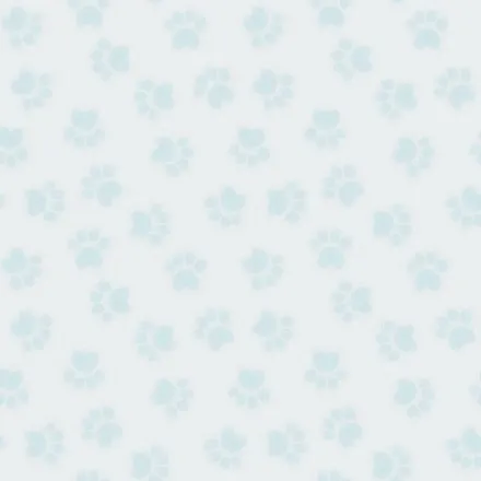 OnlyFans account  smallcatboy header 2