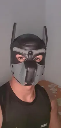 OnlyFans cuenta onlyfitdog avatar 1