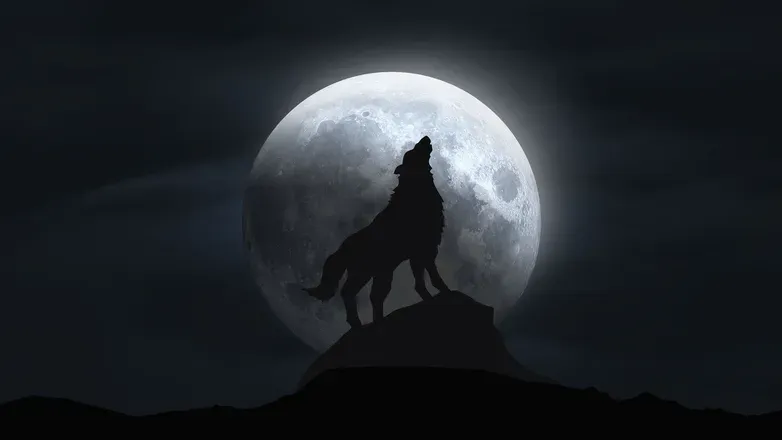 OnlyFans cuenta littlemoonwolfpromo avatar 1