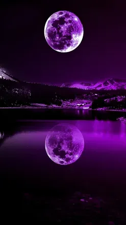 OnlyFans cuenta purplehaze.1996 header 2